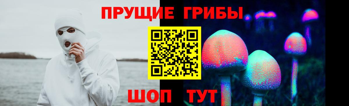 Псилоцибиновые грибы прущие грибы  купить   Горно-Алтайск  Вход с VPN  Галлюциногенные грибы GOLDEN TEACHER 